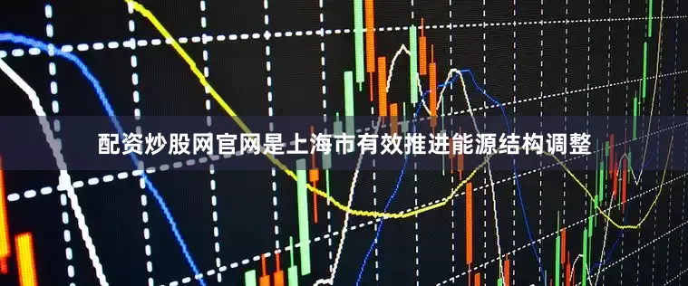 配资炒股网官网是上海市有效推进能源结构调整