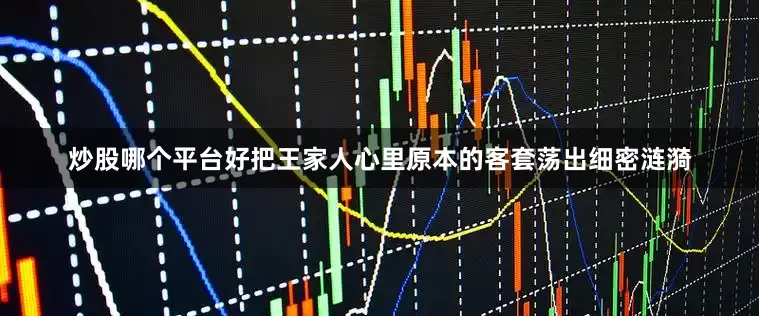 炒股哪个平台好把王家人心里原本的客套荡出细密涟漪