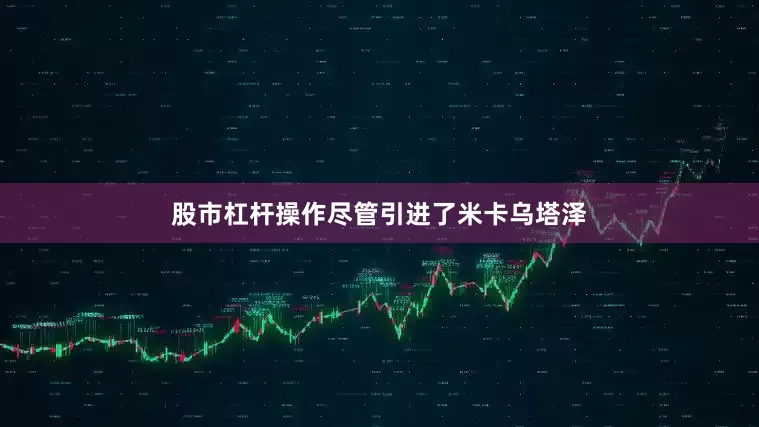 股市杠杆操作尽管引进了米卡乌塔泽