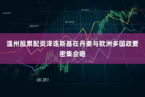 温州股票配资泽连斯基在丹麦与欧洲多国政要密集会晤