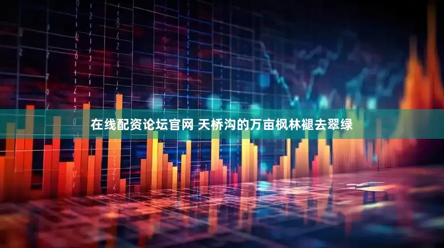 在线配资论坛官网 天桥沟的万亩枫林褪去翠绿
