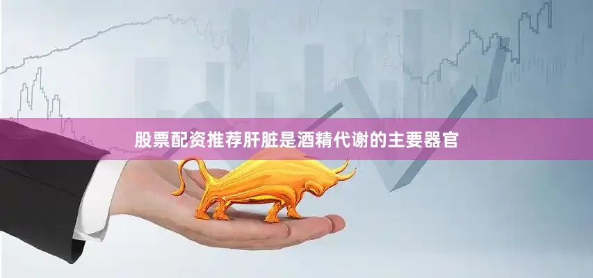股票配资推荐肝脏是酒精代谢的主要器官
